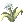 Vital Flower