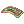 Poisonous Toad Skin