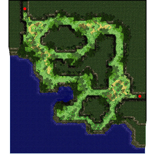 Payon Forest F11 (pay_fild11)
