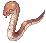 Anacondaq