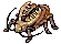 Golden Thief Bug