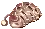 Caterpillar