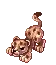 Baby Leopard