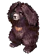 Zipper Bear
