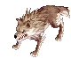 Desert Wolf