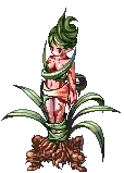 Dryad