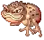 Poisonous Toad