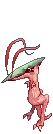 Novus