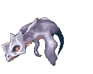 Acidus