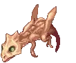 Acidus
