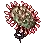 Drosera