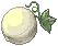 Gourd