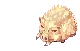 Golden Savage