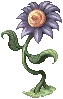 Blue Flower
