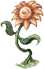 Yellow Flower