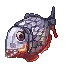 Piranha